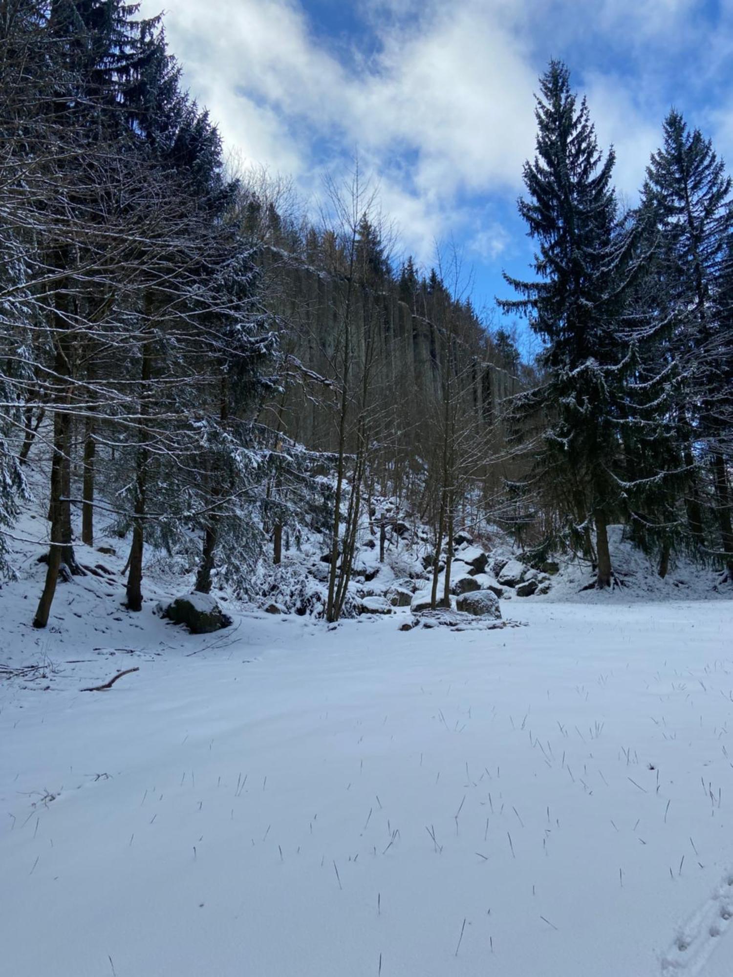 Ferienwohnung Im Chalet Scheibenberg Dış mekan fotoğraf